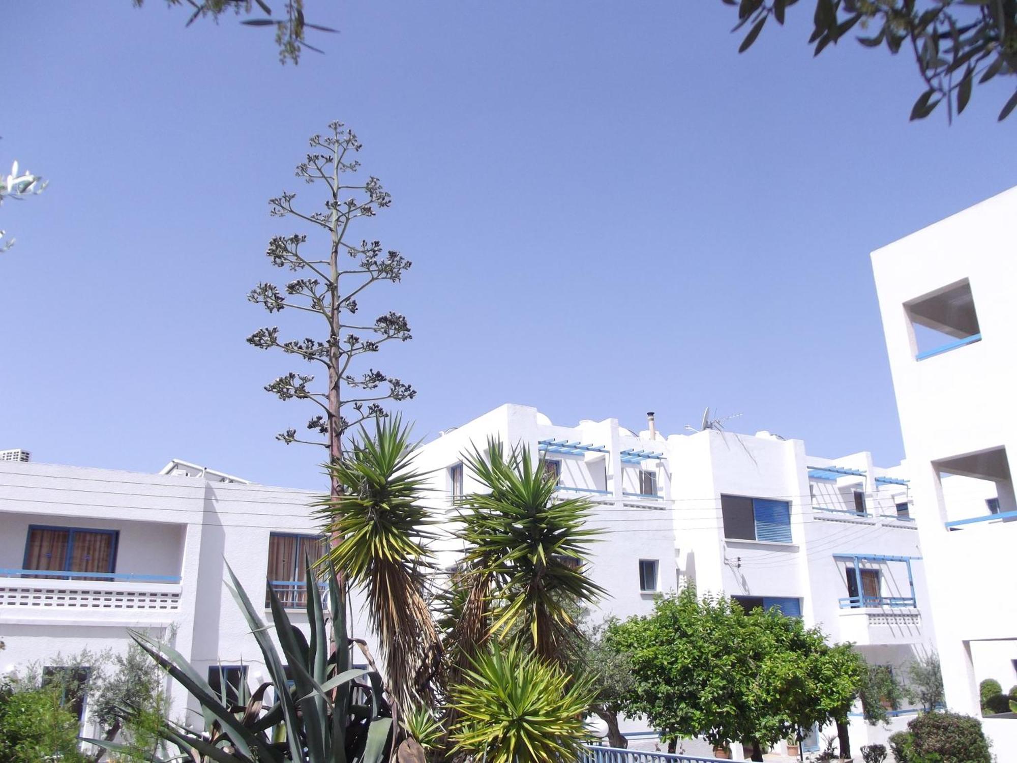 Kefalonitis Hotel Apartments Paphos Exterior photo