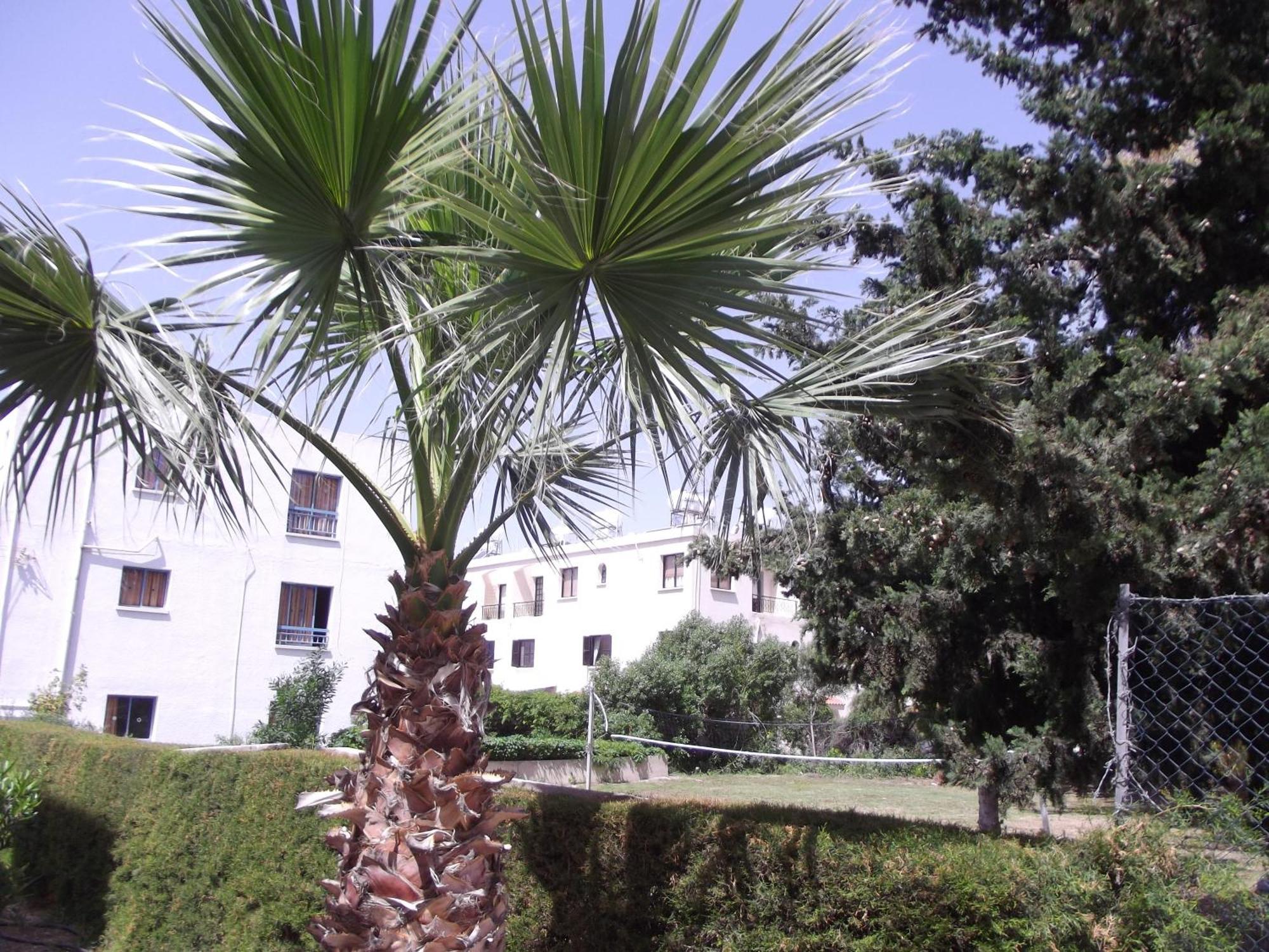 Kefalonitis Hotel Apartments Paphos Exterior photo
