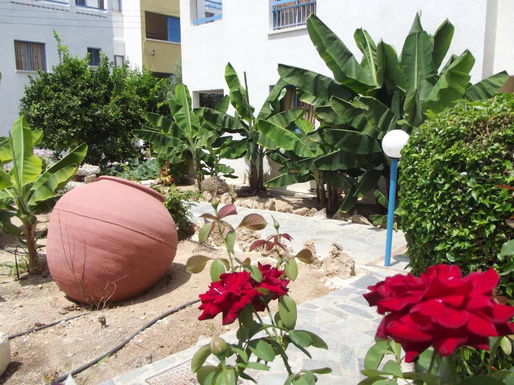 Kefalonitis Hotel Apartments Paphos Exterior photo