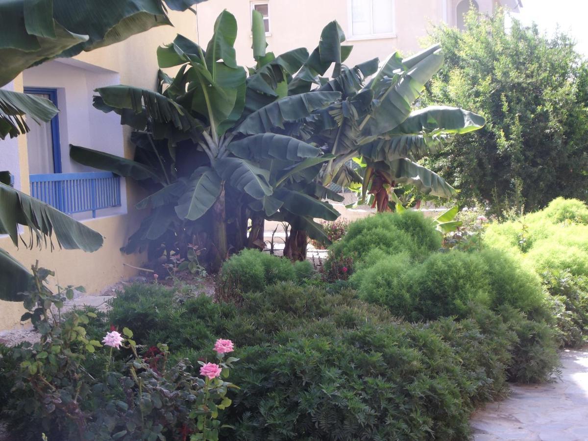 Kefalonitis Hotel Apartments Paphos Exterior photo